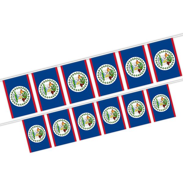 

belize string flag 20 flag world country national hanging mini banner for party decoration