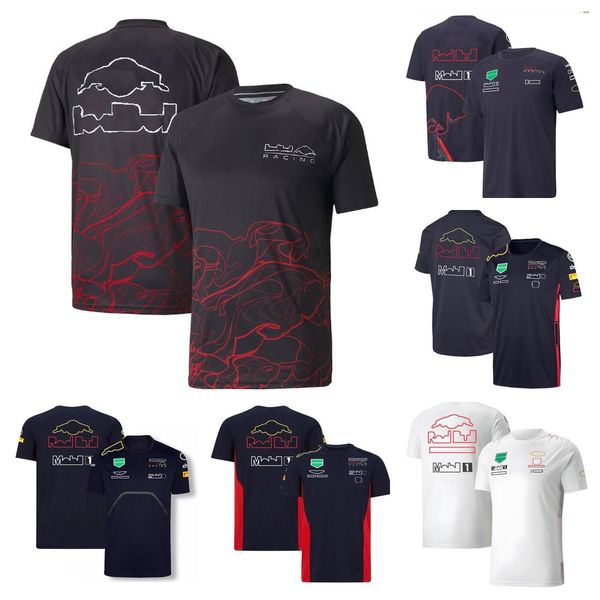 

2022 new round neck t-shirt f1 summer racing suit with the same custom