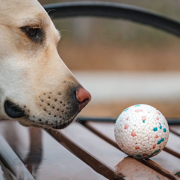 5 Farben ETPU Ball Spielzeug für große kleine Hunde Haustier Hund Kauspielzeug Neues Material Popcorn Zahnen Training Kauspielzeug Weiß Schwarz Macaron M Größe