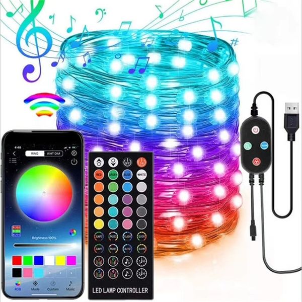 LED String Light USB Smart Ghirlanda Bluetooth App Lampada di controllo Bedroon Fata Luce Holiday Party Decor Garden Street Proiettore 220408