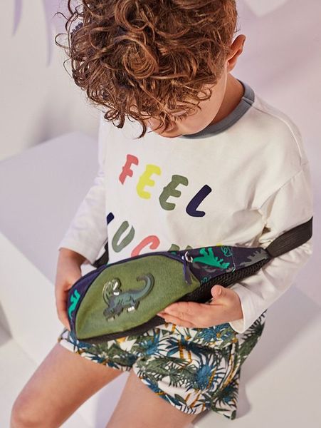 

boys dinosaur decor pocket front fanny pack she01