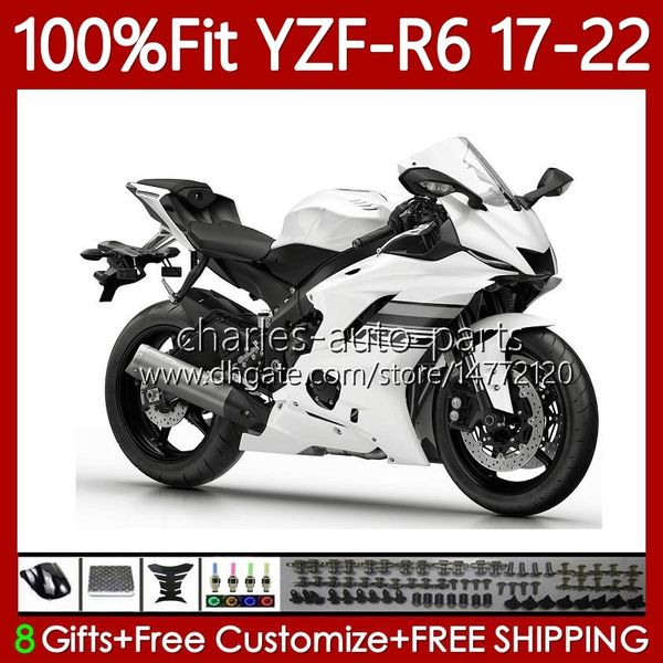 Einspritzkörper für Yamaha YZF-600 YZF R6 R 6 600 CC Weißgrau 2017–2022 Karosserie 119No.163 YZF-R6 YZFR6 17 18 19 2020 2021 2022 YZF600 2017 2018 2019 20 21 22 OEM-Verkleidung