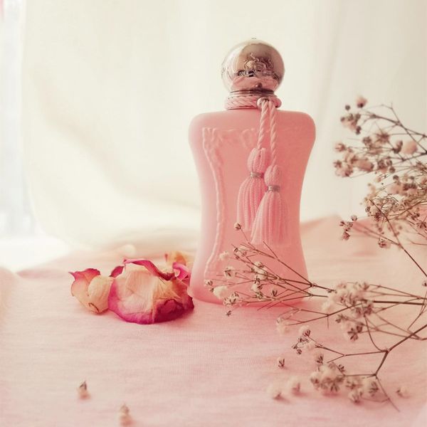 Neueste auf Lager!! Top-Parfüm für Damen DELINA Cologne 75ML la rosee Spray EDP ORIANA Lady Fragrance Geschenk Langanhaltendes angenehmes Parfüm schnelle Lieferung