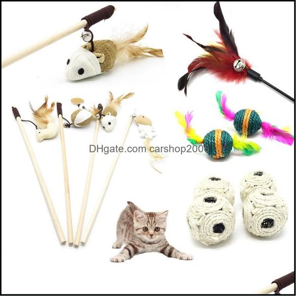 Toys de gato suprimentos jardim de animais de estima￧￣o V￡rios treinamento de treinamento ao ar livre provoca￧￣o de jogos interativos