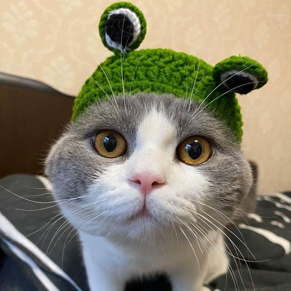 Kedi Kostümleri 2022 Pet Dogs Cats Headgear Sevimli Kulaklar Sonbahar Kış Örgü Küçük Karikatür Yün Şapkası Yavru Köpek Headdress Teddy Dragon-Li Ragdoll