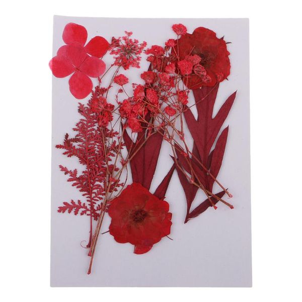 Ghirlande di fiori decorativi Tintura naturale Foglie di fiori secchi per stampa reale per gioielli in resina epossidica fai da te Decorativi