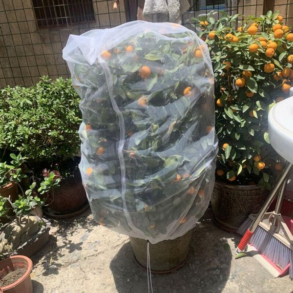 Altre forniture da giardino Pianta Albero Frutta Copertura Bug Rete Borsa barriera Protezione vegetale Controllo insetti Anti verme