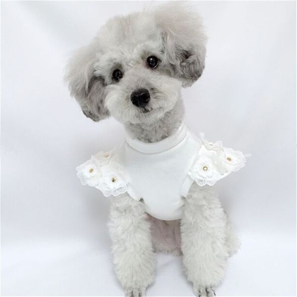 Рубашка для зимней собаки маленькая собачья капюшона кот йоркширский померанский пудель бишон шнаузер костюм для любимой собаки одежда для щенка шерсть 210401