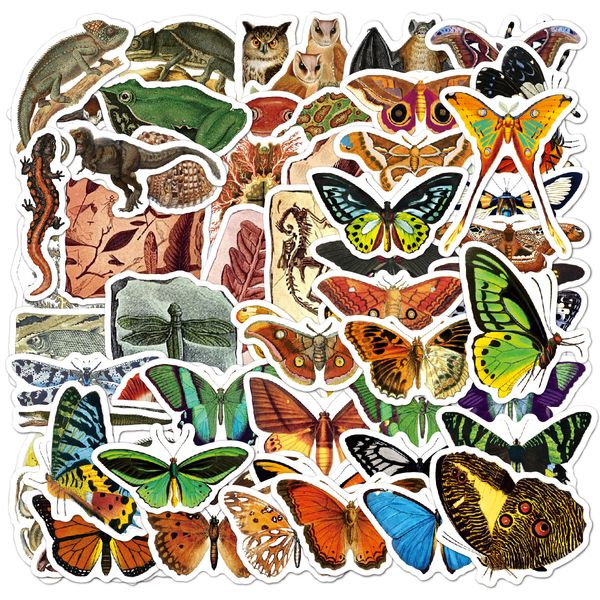 100 pezzi bottiglia d'acqua adesivi farfalla paleontologia per skateboard auto laptop pad bambini bicicletta moto casco decor chitarra PS4 telefono decalcomania adesivo in pvc