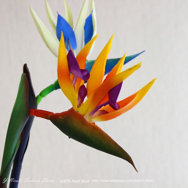 Acheter Printemps Plastique Strelitzia Artificielle Oiseau De Paradis Fleur De Mariage Accueil Décoratif Fleurs Partie Décoration De 9343 Du Lwx03
