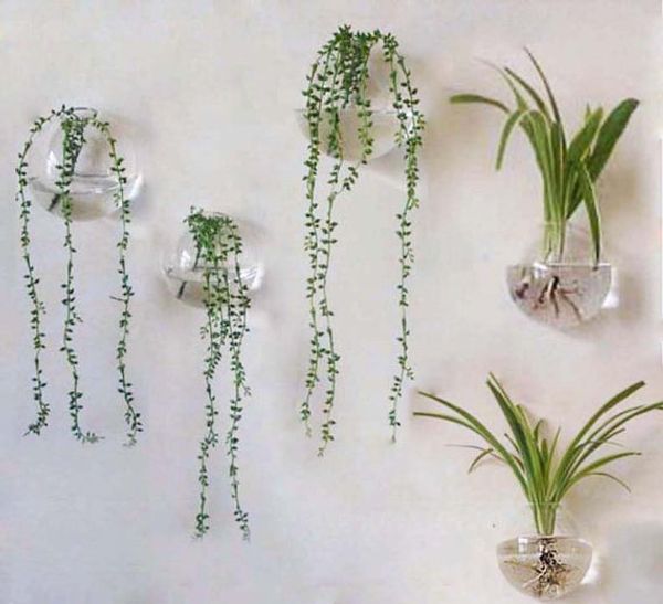 Home Decor Wall Hangings asian home decor wall hanging decorative headboard relief panel 5pcsset 56 Glass Wall Hanging Plant Orbterrarium With Home Decor Wall Hangings wholesale home decor pearl beaded wall piecedoor hangingindoor unique home decor wall 5pcsset 56 Glass Wall Hanging Plant Orbterrarium With