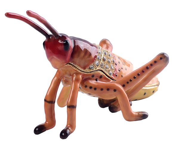 

grasshopper insect and bug jewelry trinket box collectible pewter ornament metal giftware novelty gifts metal crafts boutique, Black;white