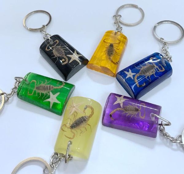 

yqtdmy 6 pcs creative artificial resin insect specimens keychain, Slivery;golden