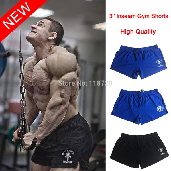 golds gym shorts