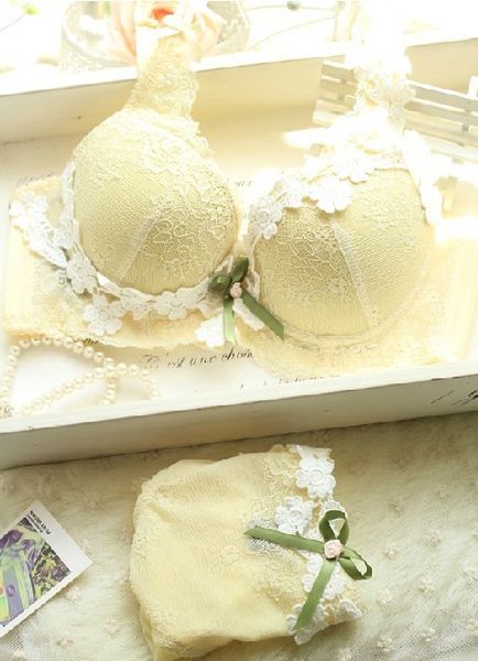 Wholesale-New 2015  deep V lace flower embroidery sexy bra set vs push up BRA&Panties,underwear women bra set gathered lingerie