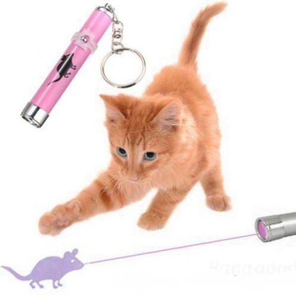 Ponteiro do laser para o gato brinquedo PET Engraçado Gato Cão Pet Brinquedos LEVOU Laser Pointer luz Caneta Com Brilhante Mouse Animação Animais de Estimação Suprimentos