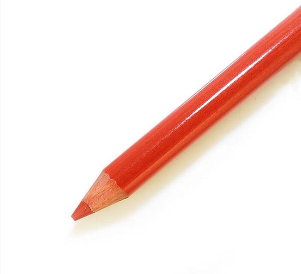 

Professional Party Queen Waterproof Lipliner Lip Pencil Cosmetics PL02