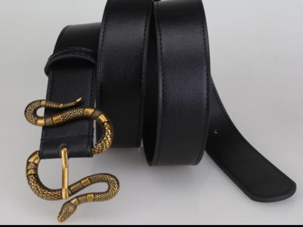 

belts designer belts for snake buckle men belt male belts fashion mens leather belt wholesale, Black;brown