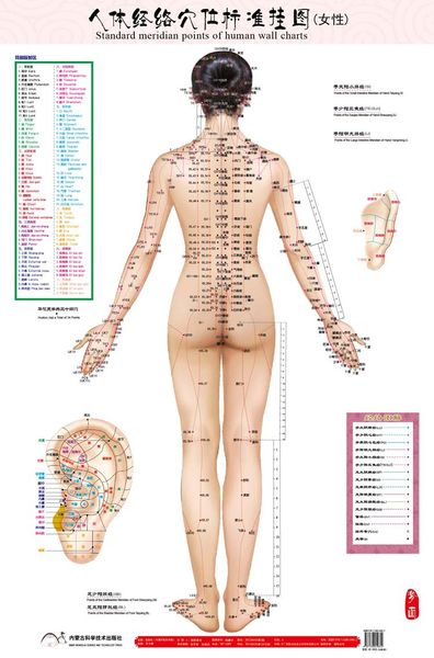 Acupuncture Wall Charts