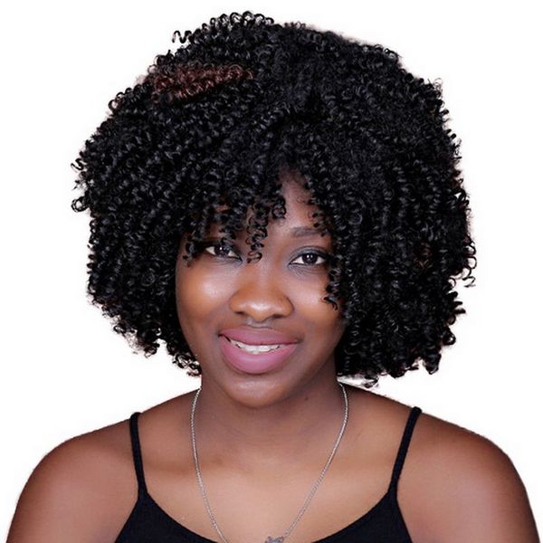 14inch Heat Resistant African American Highlights Black Brown Short Wigs For Women Synthetic Afro Kinky Curly Hair Long Wigs Hairpieces For Men From