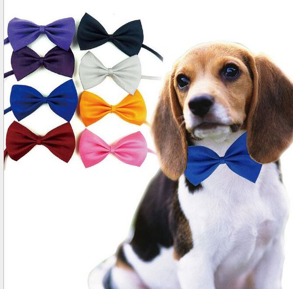 collare per cani grandi e piccoli papillon in nylon fettuccia collare per animali domestici collana di sicurezza collari per animali domestici guinzagli per animali domestici cravatta carina