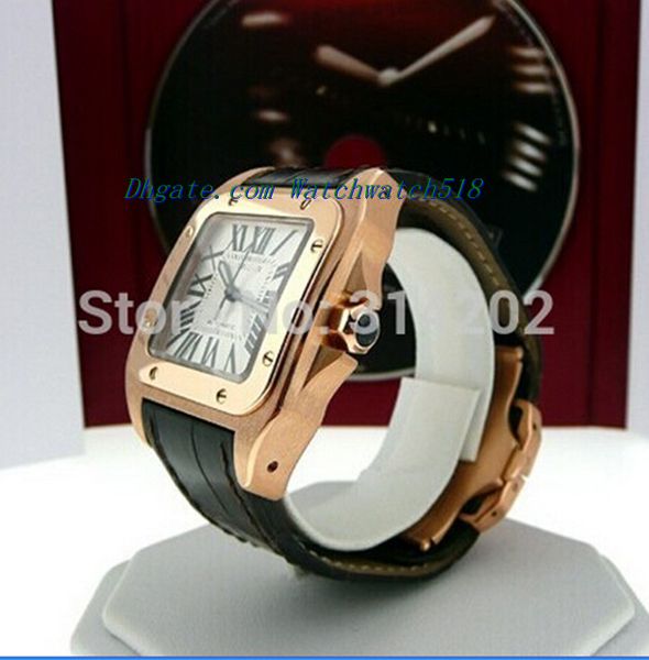 

luxury watches 100 18k yellow gold w20112y1 watch men's watches wristwatches, Slivery;brown