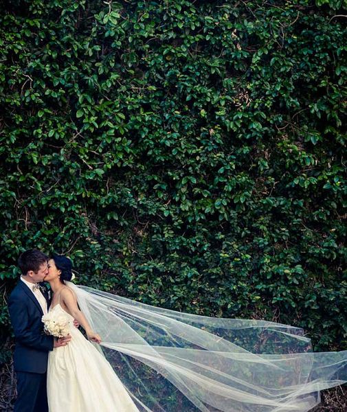 

white ivory cathedral length wedding veil pink champagne brdial veil cut edge, Black