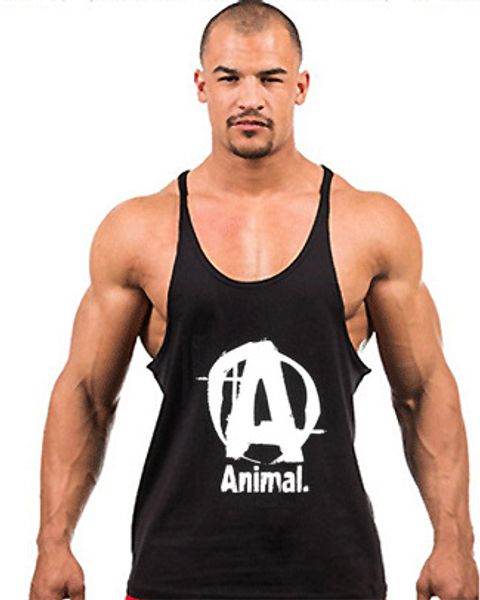 camisetas gimnasio
