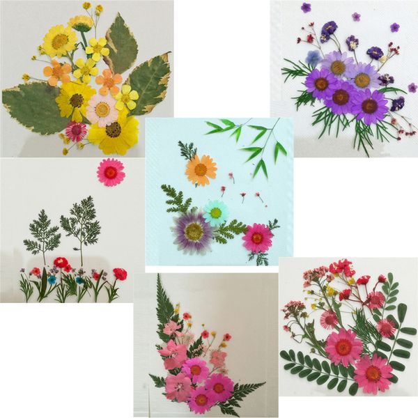 2019 2017 Newest Raw Material Specimens Bags Pressed Flower Bouquet With Mixed Flower Leaf Collection Wholesales For Candle Ornament 10 Bags From - 