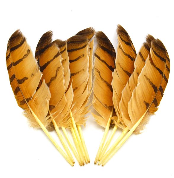

wholesale beautiful precious wild turkey tail feathers 10-14inches / 25-35cm (many sizes for you to choose