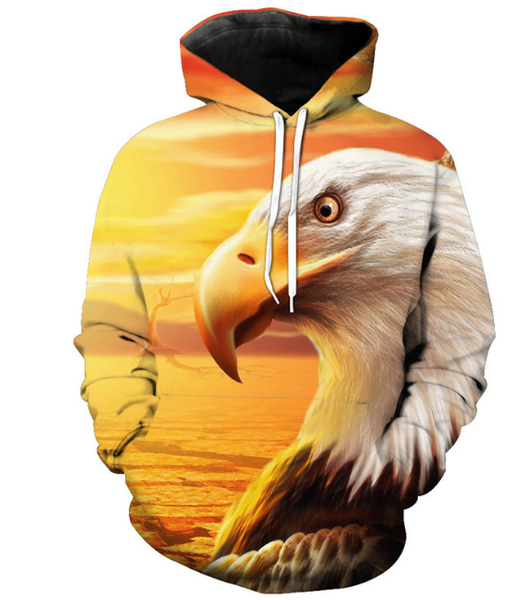 

fashion women/men dry river bed eagle funny 3d printed casual hoodies sweatshirt plus size 66, Black