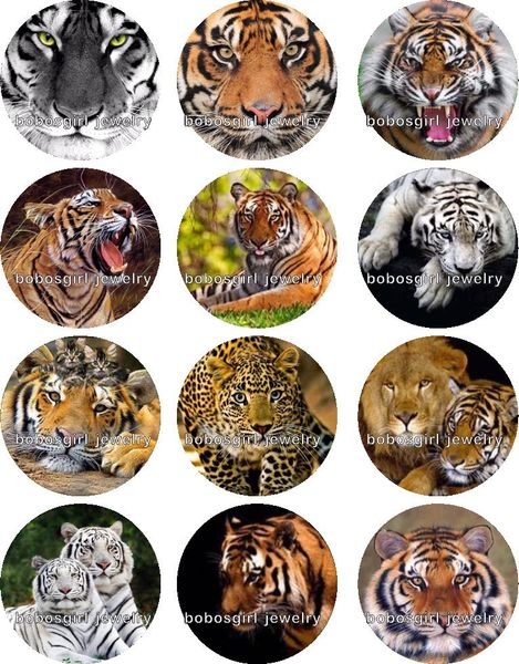

tiger leopard glass snap button jewelry charm popper for snap jewelry good quality 12pcs / lot gl309 jewelry making diy, Crystal