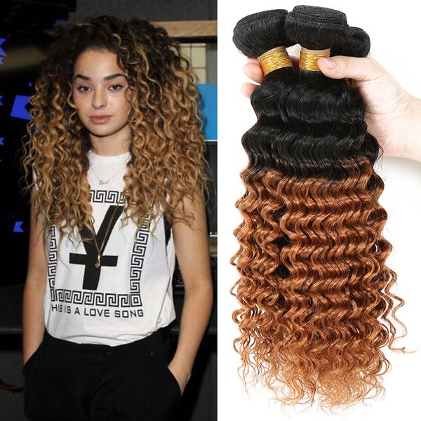 Beauty Honey Blonde Hair Bundles Deep Curly Hair Weaves 1b 30 Two