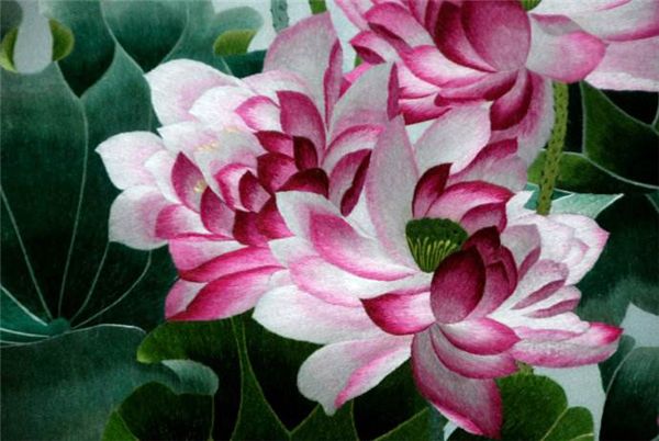 

5d алмаз вышивка рукоделие diy алмаз живопись вышивки крестом наборы розовый цветок лотоса полный круглый алмаз мозаика декор комнаты yx1139