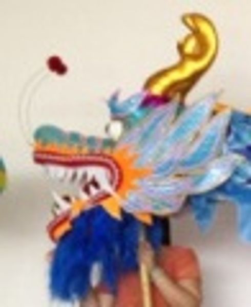 Costume da mascotte per bambini da 5,5 m placcato in oro Celebrazione del festival popolare CINESE DRAGON DANCE