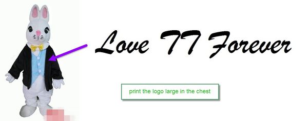 Customized Rabbit Clothes Have Logo Mascot Costume Fancy Dress