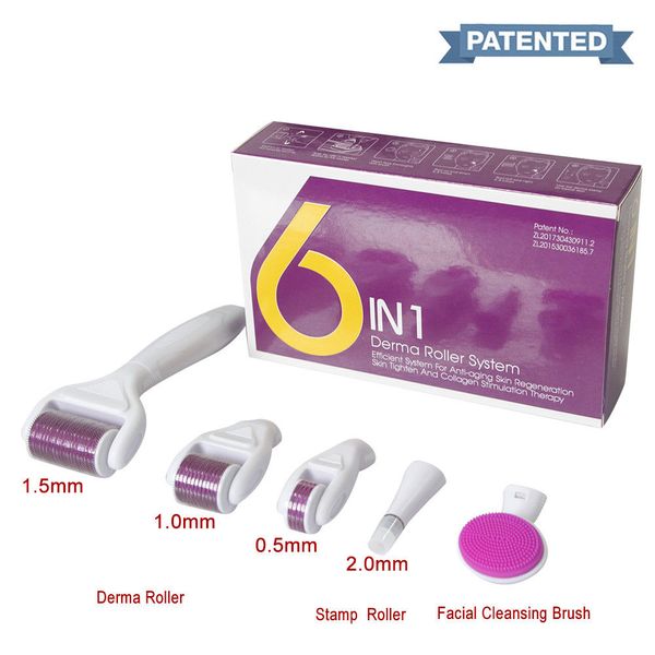 Kit Derma Roller 6 in 1 Dermaroller Microneedle viso per la cura della pelle e la salute del trattamento del corpo