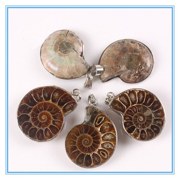 10 Pçs / lote Exóticas Handmade Natural Ammonite Concha Shell Pedra Pingente de Talão Requintado Moda Marrom Caracol Ágata Pingente Para O Casamento Das Mulheres Dos Homens