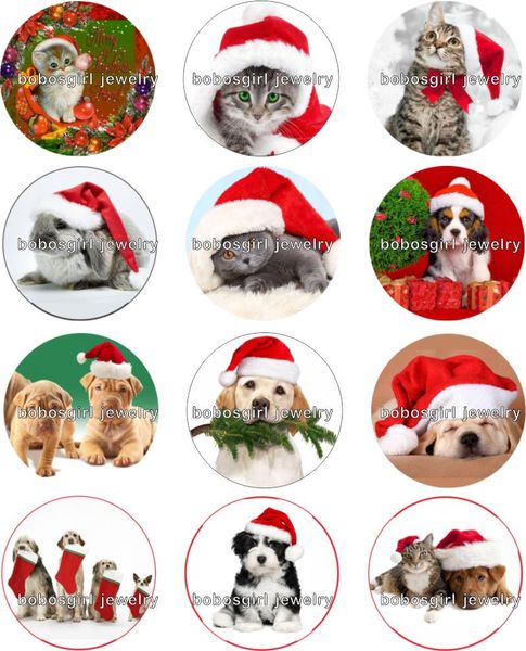 

cat dog christmas snap button jewelry charm popper for snap jewelry good quality 12pcs / lot gl233 jewelry making, Crystal