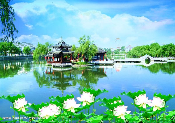 

payment link for special customer