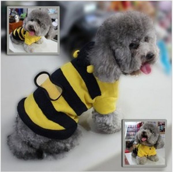 Fabrika doğrudan evcil hayvan giysileri güzel arılar paketi köpek giysileri Teddy VIP köpek giysileri