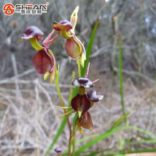 

Outros Acessórios Jardim jonemark2013