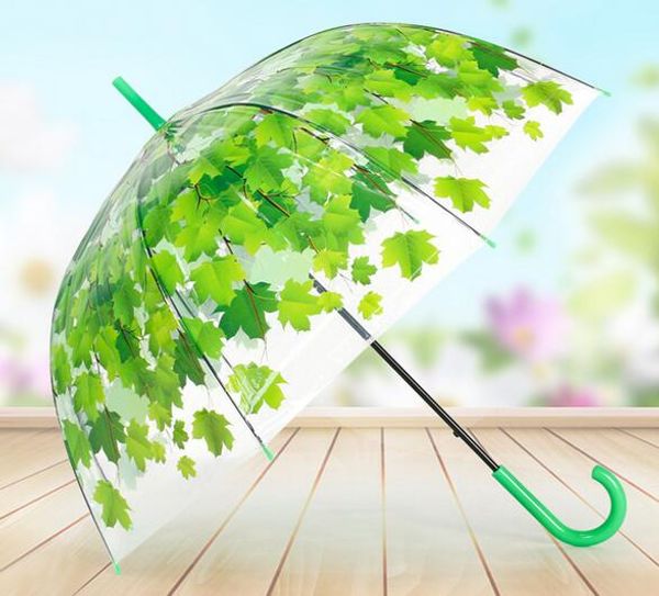 

горячий дом прозрачный сгущает пвх гриб зеленые листья дождя прозрачный лист пузыря зонтик
