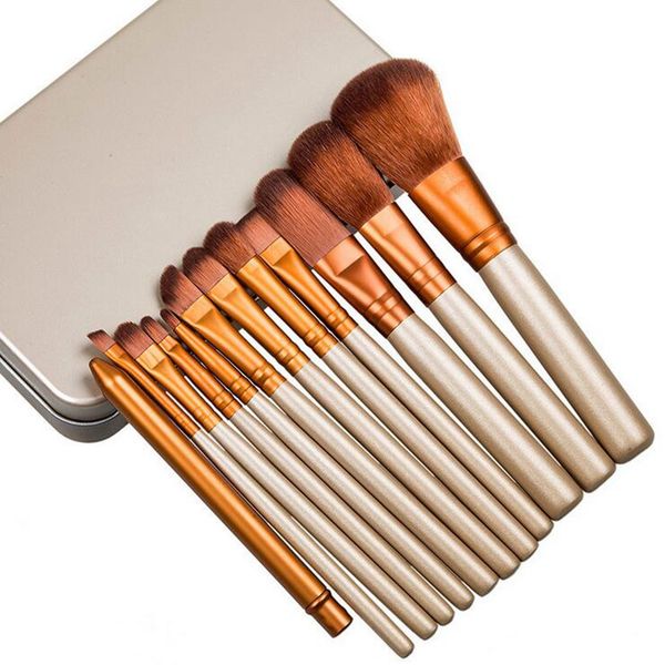 

HOT ! The new fashion Makeup brushes 12pcs Professional Brush Tin box