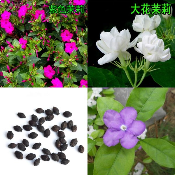 

Sementes prom_dress2016