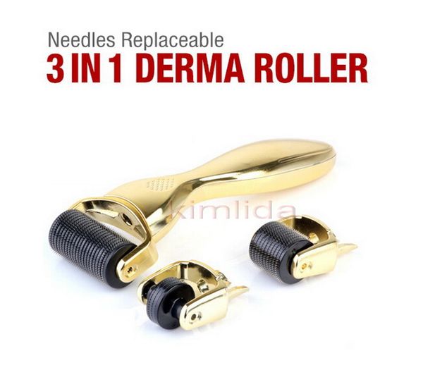 3 In 1 Kit Derma Roller Titanyum Mikro İğneli Silindir 180 600 1200 İğneler Vücut ve Yüz için Cilt Dermaroller ve 0,5 1.0 1.5 mm İğneler En İyi Kalite