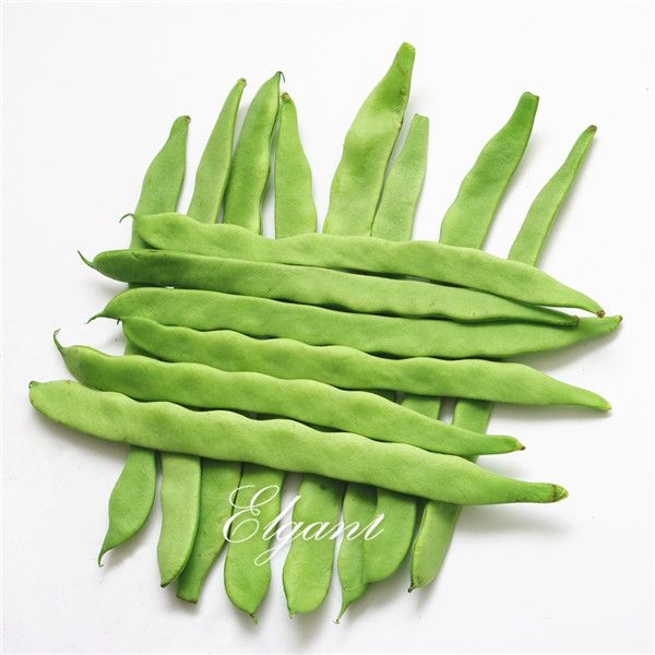 

Плоский Bean китайского Овощное Семени 50 Семян Легко расти наследие семян овощей