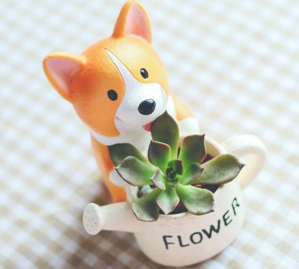 Acheter Corgi Dessin Animé Succulent Bonsaï Micro Paysage Plante Pot De Fleur Mignon Creative Home Deco Résine Chien Avec Jambes Court Planters De