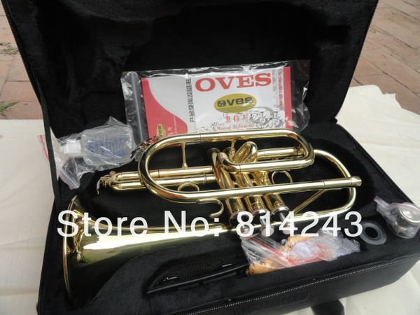 Oves marca de qualidade de boa qualidade estudantes bb a cornet ouro laca trombeta amarelo material de latão trombeta instrumentos musicais com caso