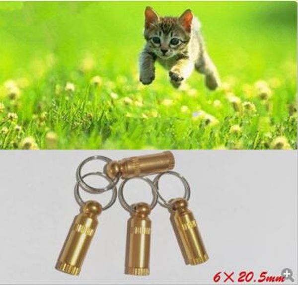 Addestramento comportamentale Pet Dog Cat Mini ID TAG Anti smarrimento Nome Indirizzo Etichetta Identità Canna Tubo Collare XB